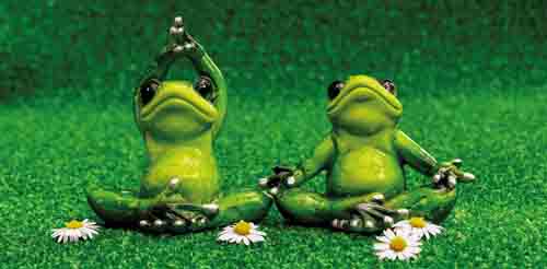 146 - Les grenouilles et le yoga 