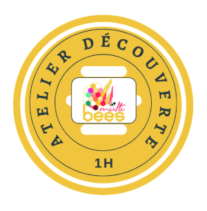 Atelier découvert 1h à partir de 300 HT €
